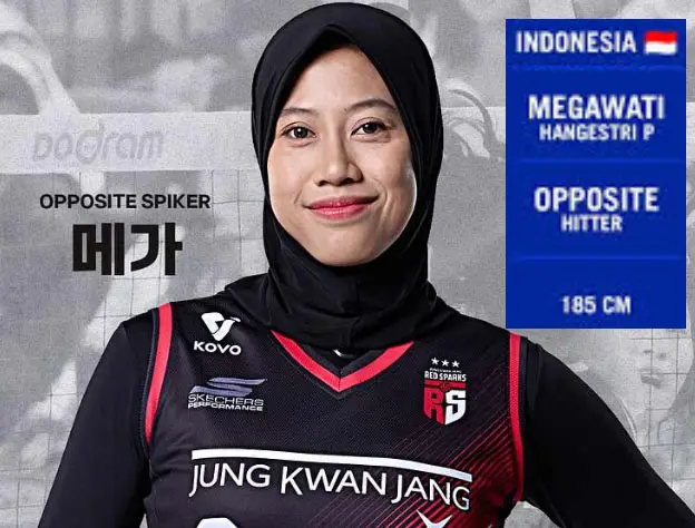 Pemain bola Voli Wanita